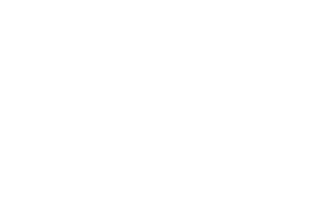Diagnostic Logo White
